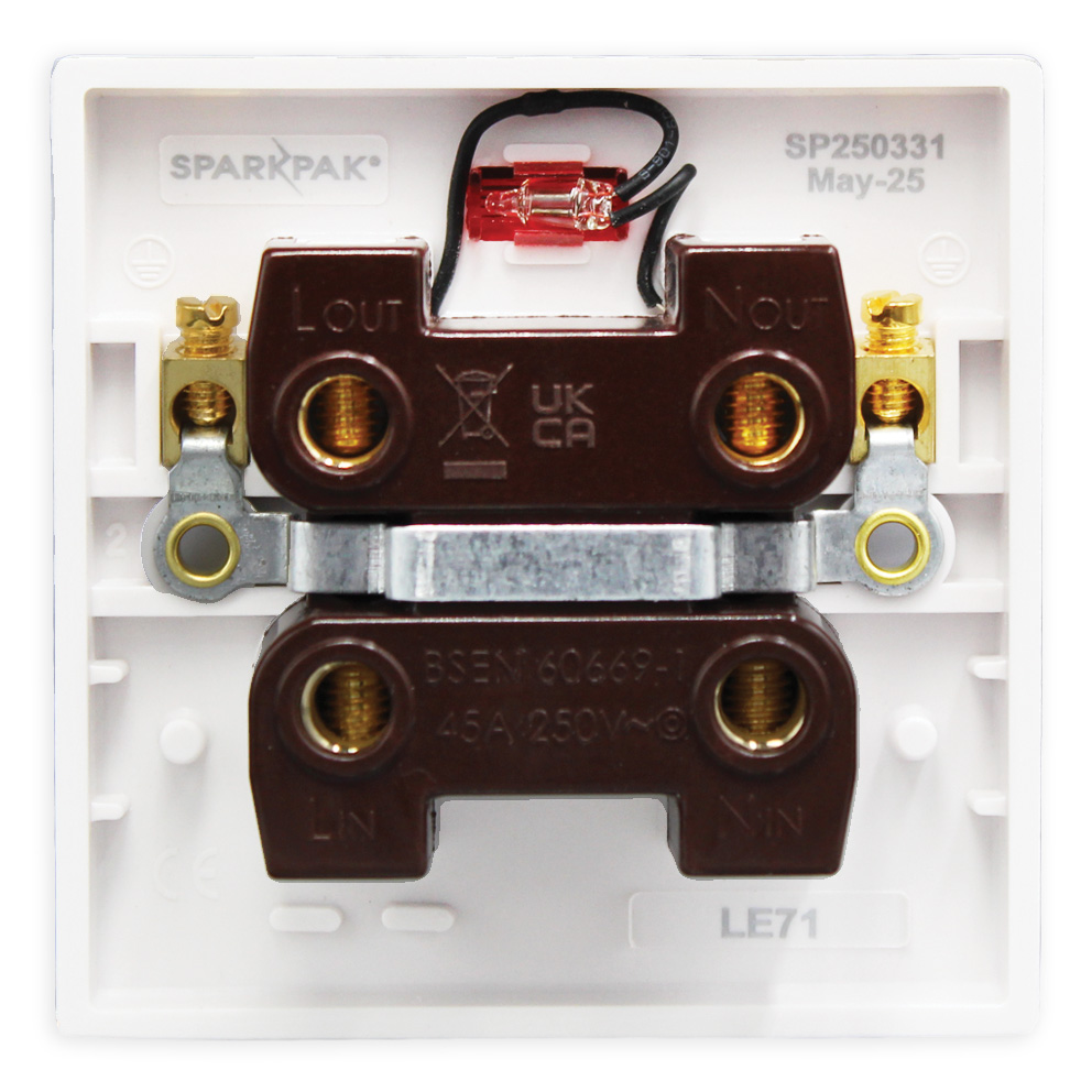 45A DP Switch with Neon